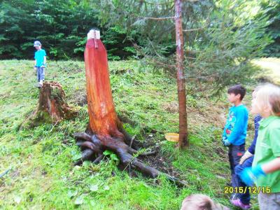 Foto des Albums: Waldschulheim Wahlsmühle Klasse 3b