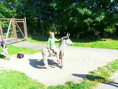 Foto des Albums: Waldschulheim Wahlsmühle Klasse 3b