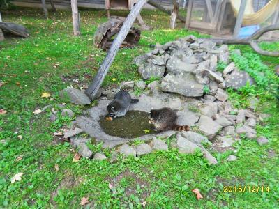 Foto des Albums: Waldschulheim Wahlsmühle Klasse 3b