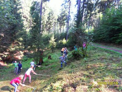 Foto des Albums: Waldschulheim Wahlsmühle Klasse 3b