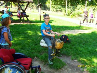 Foto des Albums: Waldschulheim Wahlsmühle Klasse 3b