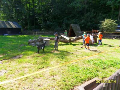 Foto des Albums: Waldschulheim Wahlsmühle Klasse 3b