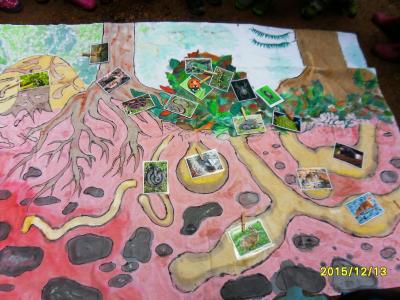 Foto des Albums: Waldschulheim Wahlsmühle Klasse 3b