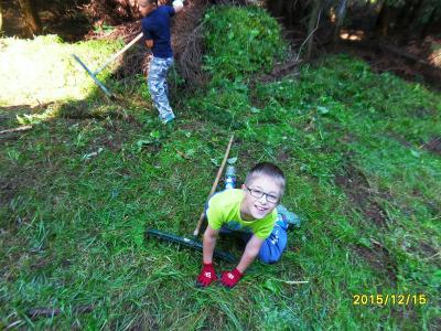 Foto des Albums: Waldschulheim Wahlsmühle Klasse 3b