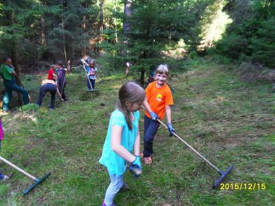 Foto des Albums: Waldschulheim Wahlsmühle Klasse 3b