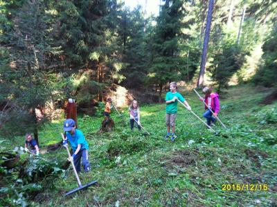 Foto des Albums: Waldschulheim Wahlsmühle Klasse 3b