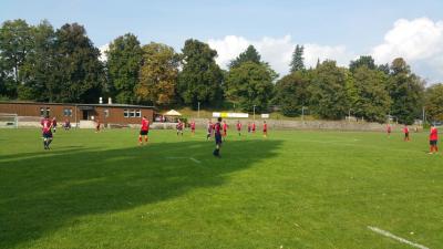 Foto des Albums: Männer: Auswärtsspiel in Zittau