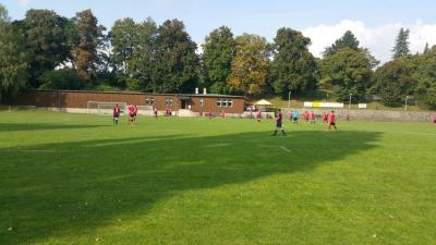 Foto des Albums: Männer: Auswärtsspiel in Zittau
