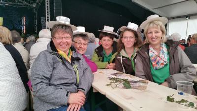 Foto des Albums: Hessentag Herborn 2016