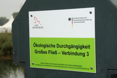 Foto des Albums: Übergabe der Fischtreppe am Großen Fließ