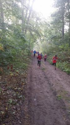 Foto des Albums: Ueckermünder Herbstcross