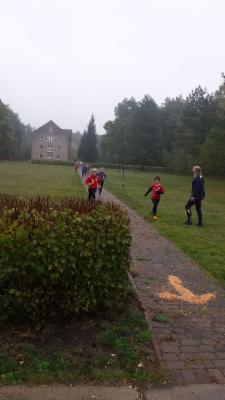 Foto des Albums: Schwedter Herbstlauf + Karpiner Herbstcross