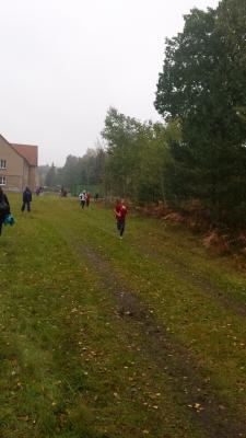 Foto des Albums: Schwedter Herbstlauf + Karpiner Herbstcross