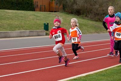 Foto des Albums: Schwedter Herbstlauf + Karpiner Herbstcross
