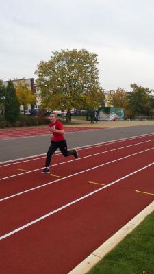 Foto des Albums: Schwedter Herbstlauf + Karpiner Herbstcross