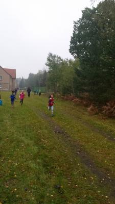 Foto des Albums: Schwedter Herbstlauf + Karpiner Herbstcross