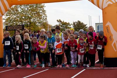 Foto des Albums: Schwedter Herbstlauf + Karpiner Herbstcross