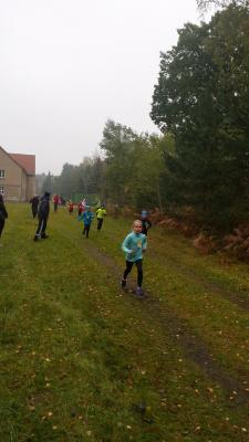 Foto des Albums: Schwedter Herbstlauf + Karpiner Herbstcross