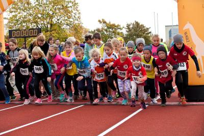 Foto des Albums: Schwedter Herbstlauf + Karpiner Herbstcross