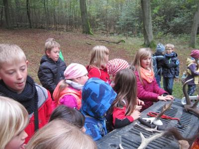 Foto des Albums: Unser Waldfest am 14.10.2016