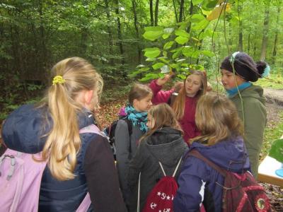 Foto des Albums: Unser Waldfest am 14.10.2016