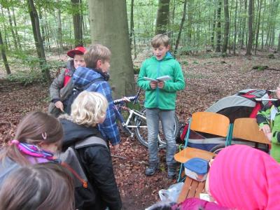 Foto des Albums: Unser Waldfest am 14.10.2016