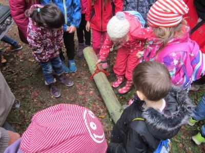 Foto des Albums: Unser Waldfest am 14.10.2016