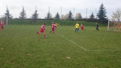 Foto des Albums: 06.11.2016 F-Jugend