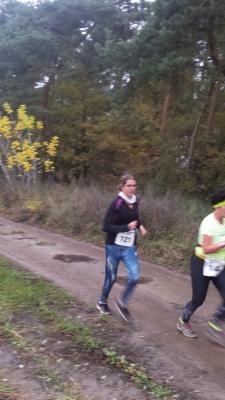 Foto des Albums: Schönower Herbstcross