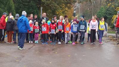 Foto des Albums: Schönower Herbstcross