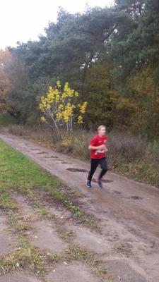 Foto des Albums: Schönower Herbstcross