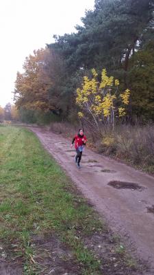 Foto des Albums: Schönower Herbstcross
