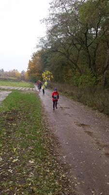 Foto des Albums: Schönower Herbstcross