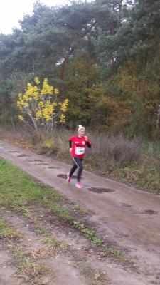 Foto des Albums: Schönower Herbstcross