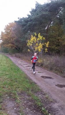 Foto des Albums: Schönower Herbstcross