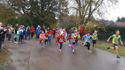 Foto des Albums: Schönower Herbstcross