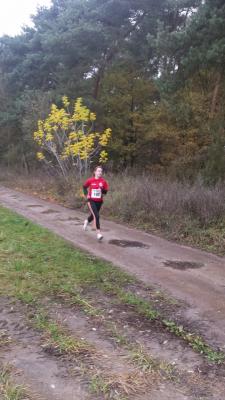 Foto des Albums: Schönower Herbstcross