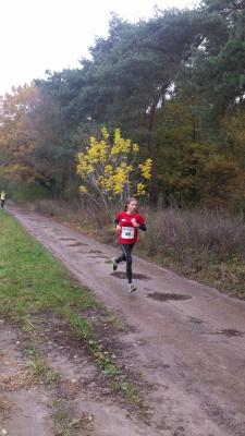 Foto des Albums: Schönower Herbstcross