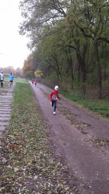 Foto des Albums: Schönower Herbstcross