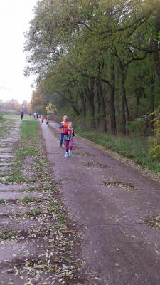 Foto des Albums: Schönower Herbstcross