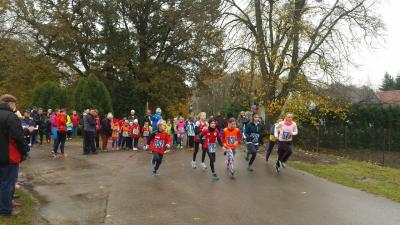 Foto des Albums: Schönower Herbstcross