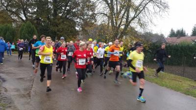 Foto des Albums: Schönower Herbstcross