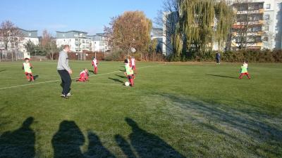 Foto des Albums: 13.11.2016 F-Jugend (14.​11.​2016)