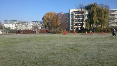 Foto des Albums: 13.11.2016 F-Jugend
