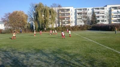 Foto des Albums: 13.11.2016 F-Jugend
