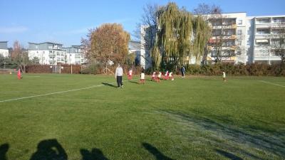 Foto des Albums: 13.11.2016 F-Jugend