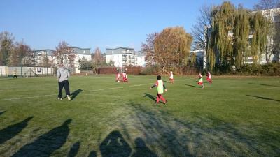 Foto des Albums: 13.11.2016 F-Jugend