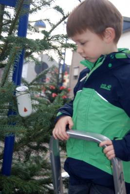 Foto des Albums: Weihnachtsbaum schmücken auf der Augustastraße