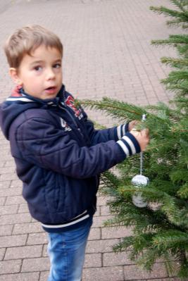 Foto des Albums: Weihnachtsbaum schmücken auf der Augustastraße