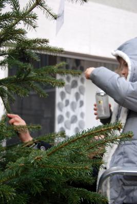 Foto des Albums: Weihnachtsbaum schmücken auf der Augustastraße